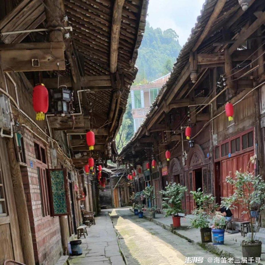 模拟山羊